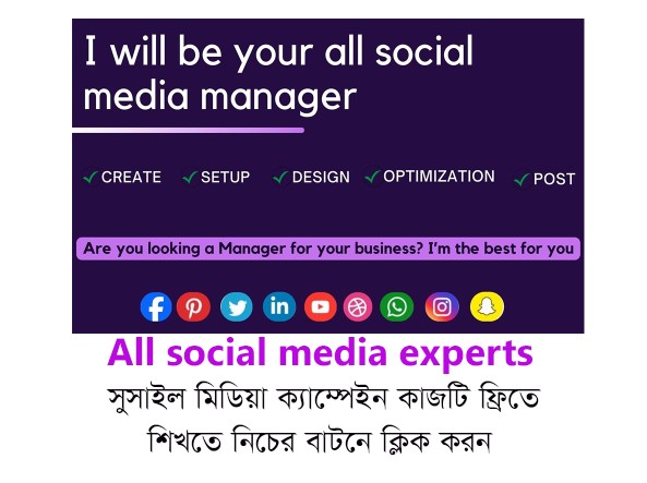 Social Media Manager